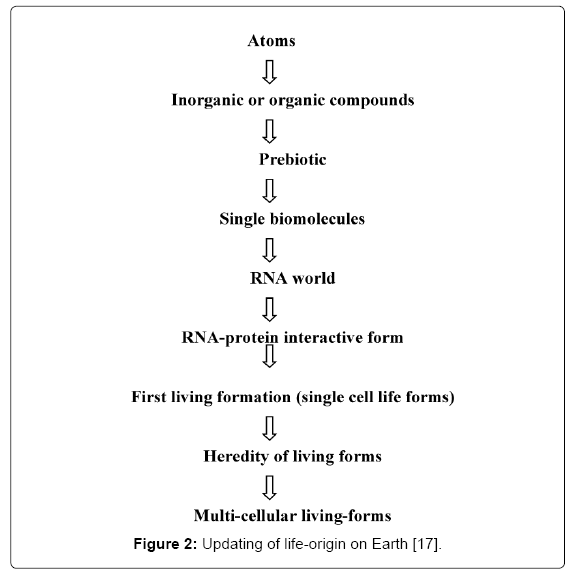 cell-developmental-life-origin