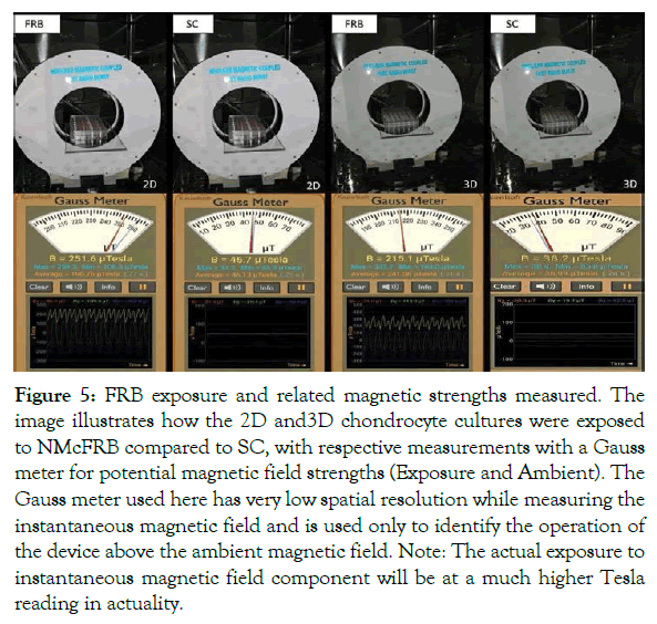 cell-science-therapy-FRB-exposure