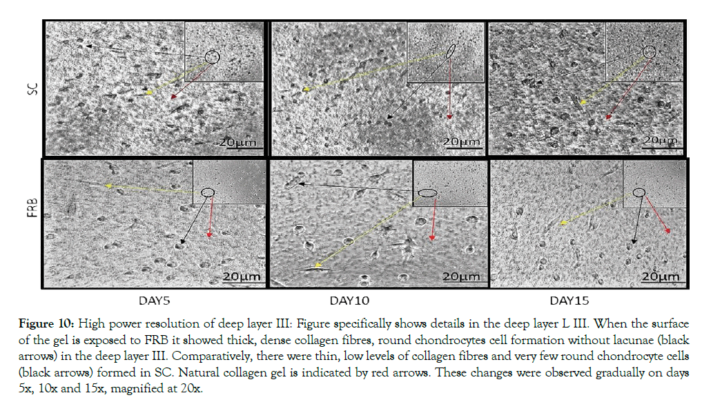 cell-science-therapy-power-resolution