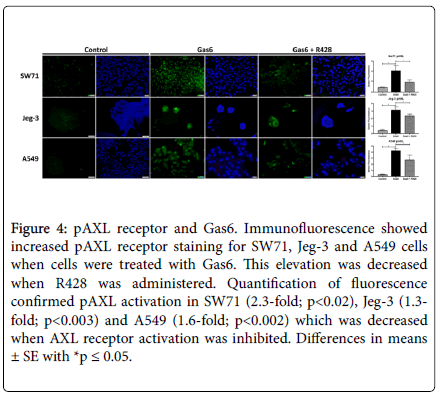 cell-signaling-immunofluorescence