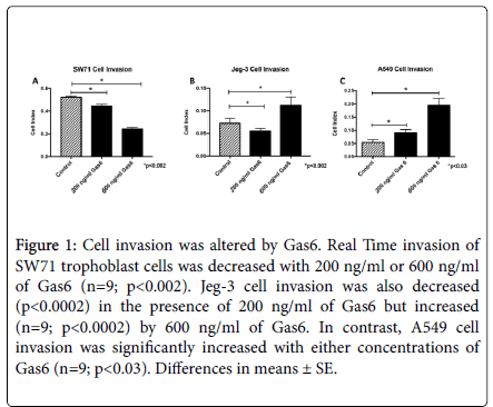 cell-signaling-invasion