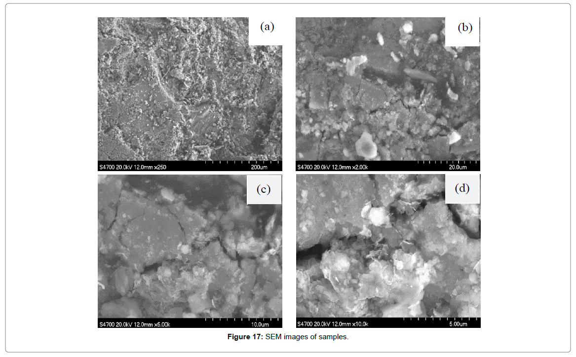 chemical-engineering-process-technology-SEM-images