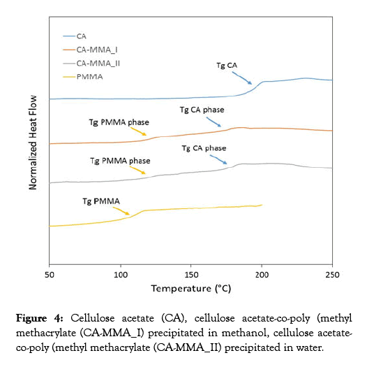 chemical-engineering-process-technology-methacrylate