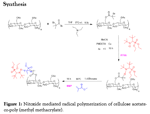 chemical-engineering-process-technology-polymerization