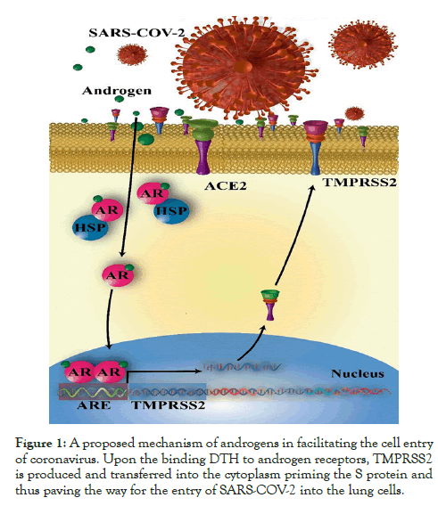 clinical-cellular-immunology-mechanism