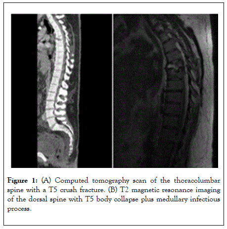 clinical-cellular-immunology-scan