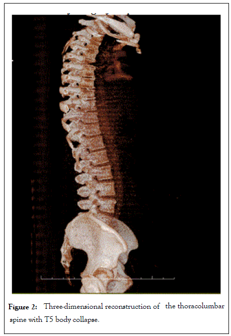 clinical-cellular-immunology-spine