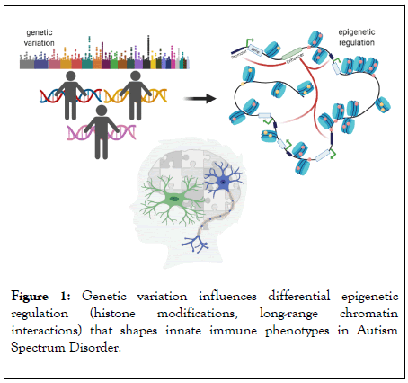 clinical-cellular-immunology-variation