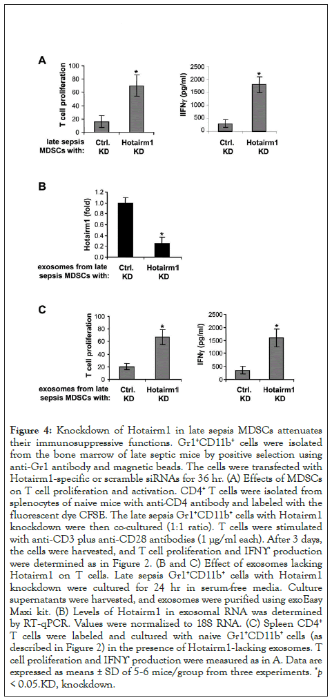 clinical-cellular-positive