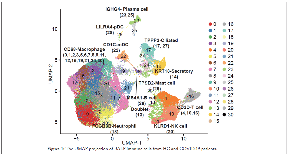 clinical-cellular-projection