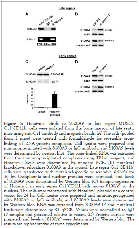 clinical-cellular-scramble