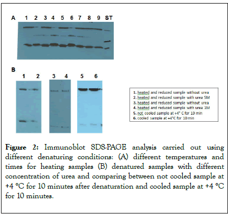 clinical-chemistry-laboratory-analysis