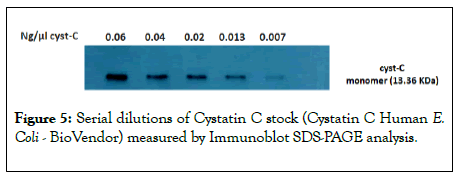 clinical-chemistry-laboratory-dilutions