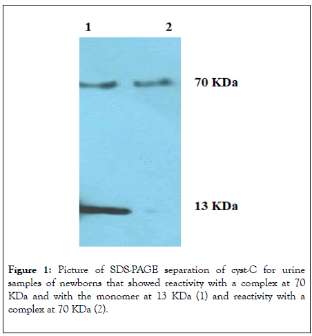 clinical-chemistry-laboratory-separation