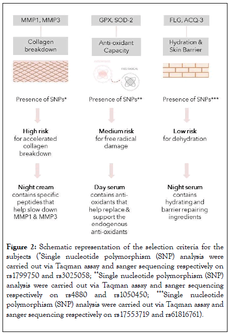 clinical-experimental-dermatology-assay