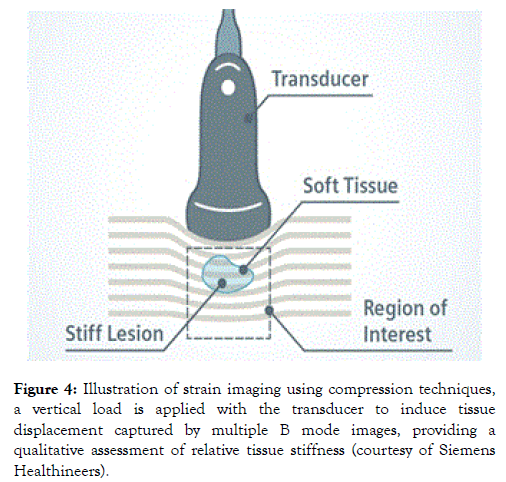 clinical-experimental-dermatology-research-strain