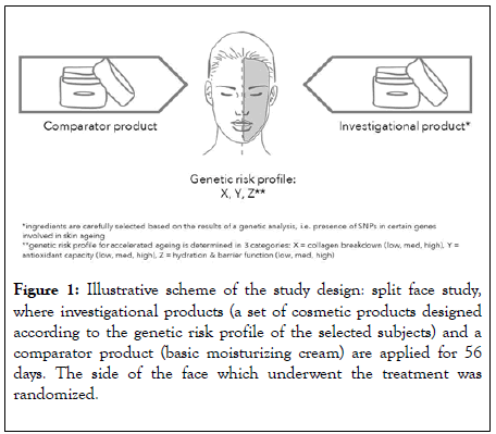 clinical-experimental-dermatology-scheme