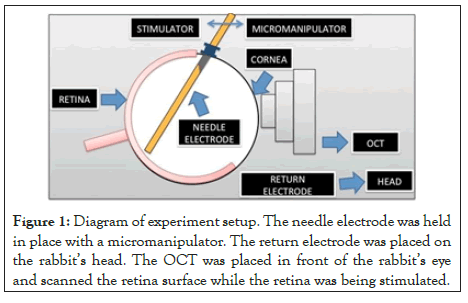 clinical-experimental-electrode