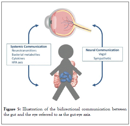 clinical-experimental-ophthalmology-bidirectional