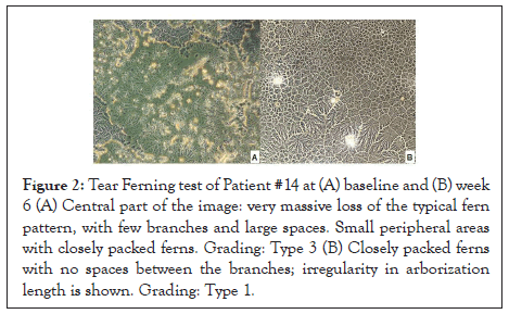 clinical-experimental-peripheral