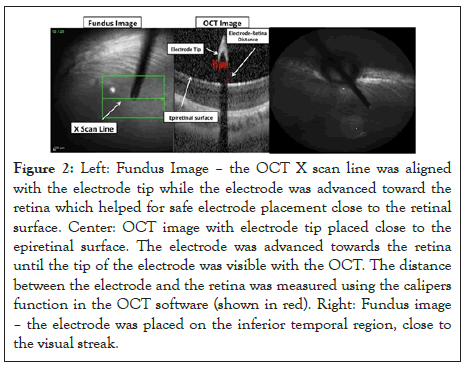 clinical-experimental-visible