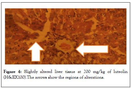 clinical-toxicology-altered