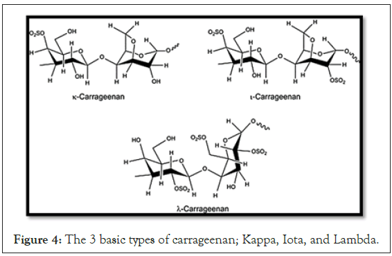 Iota Carrageenan, Kappa Carrageenan and Lambda Carrageenan