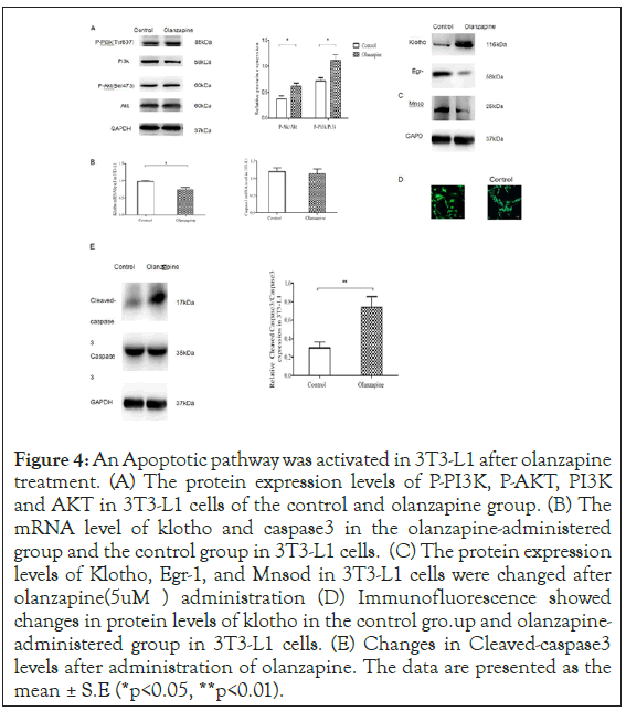 clinical-toxicology-protein