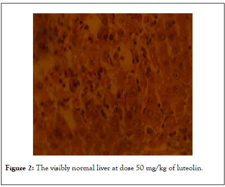 clinical-toxicology-visibly