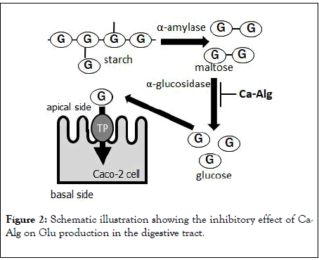 clinical-trials-illustration