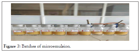 drug-designing-microemulsion
