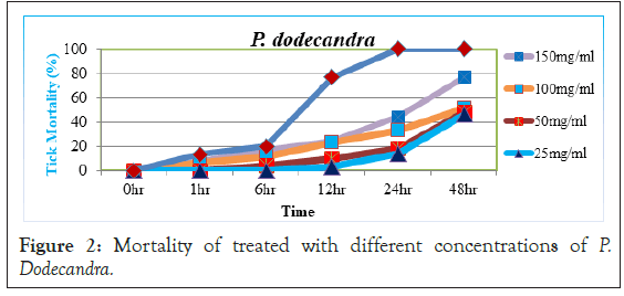 entomology-ornithology-concentrations