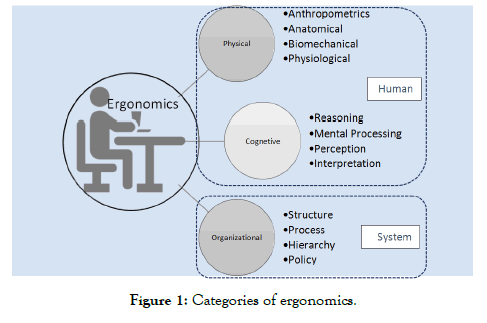 ergonomics-Categories