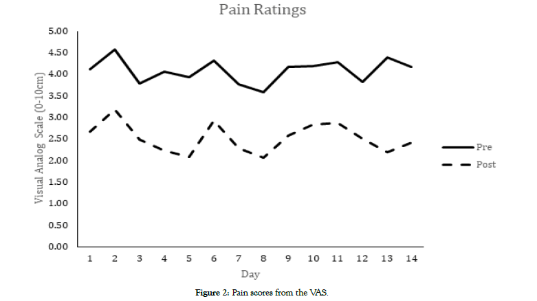 ergonomics-Pain-score