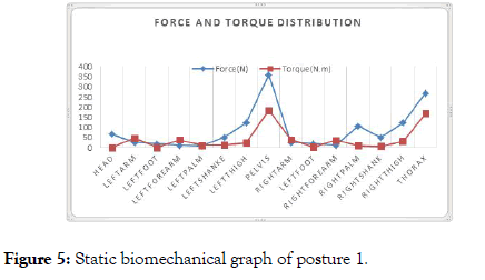 ergonomics-cluster-biomechanical-graph