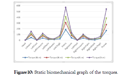 ergonomics-cluster-graph-torques