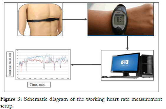 ergonomics-cluster-heart-rate