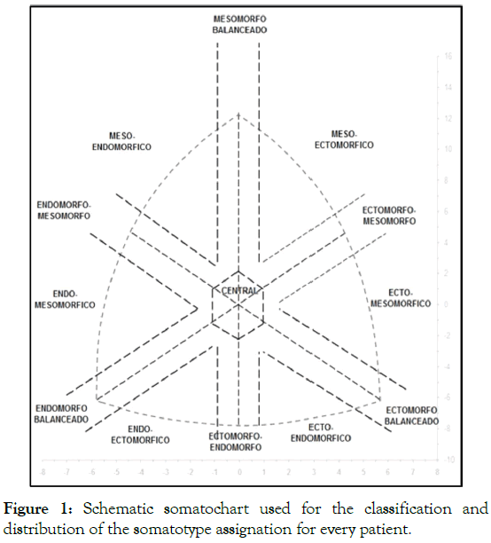 ergonomics-somatochart-assignation