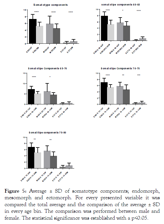 ergonomics-somatotype-components-endomorph