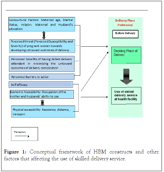 family-medical-science-research-conceptual-framework