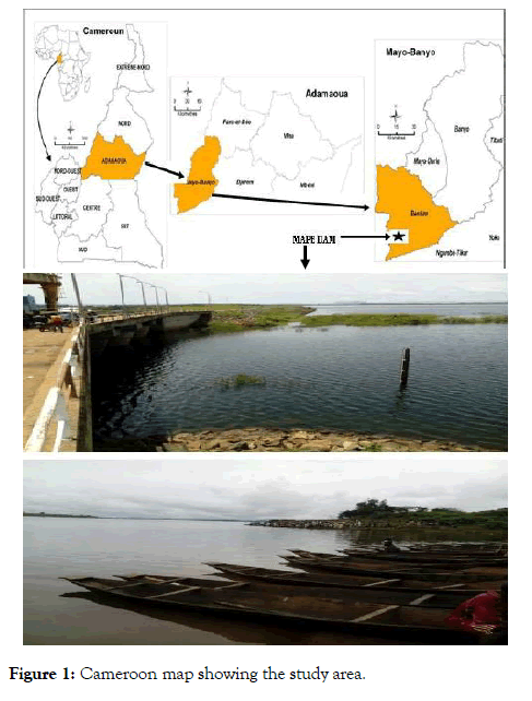 fisheries-and-aquaculture-journal-cameroon