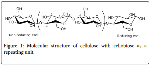 forest-research-cellulose-structure