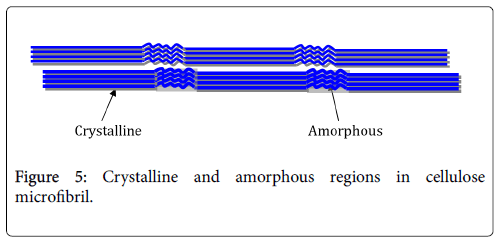 forest-research-cellulose-structure