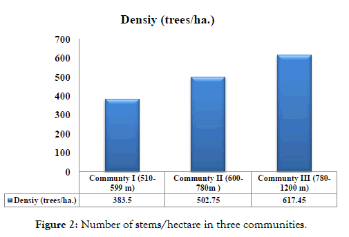 forest-research-hectare-communities