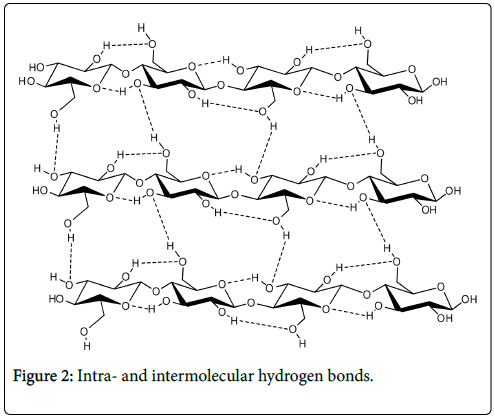 forest-research-hydrogen-bonds