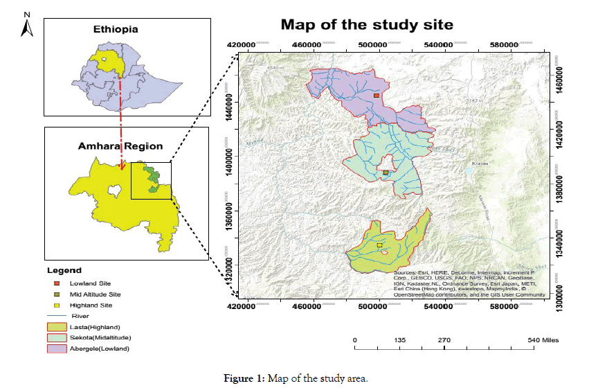 forest-research-open-access-study