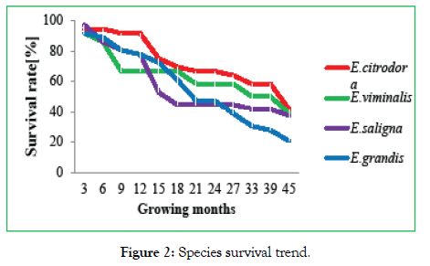 forest-research-open-access-trend