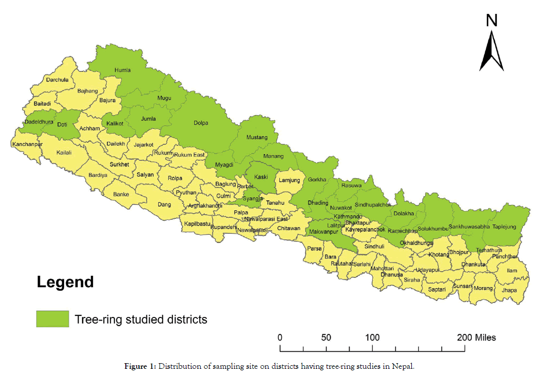 forest-research-sampling-site