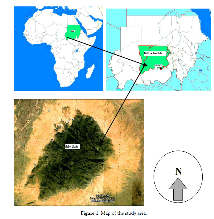 forest-research-study-area