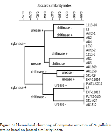 fungal-genomics-biology-enzymatic